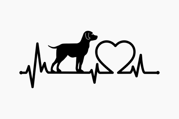 Dog Labrador Retriever Heartbeat