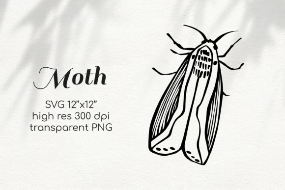 Moth Sublimation Clipart Lineart